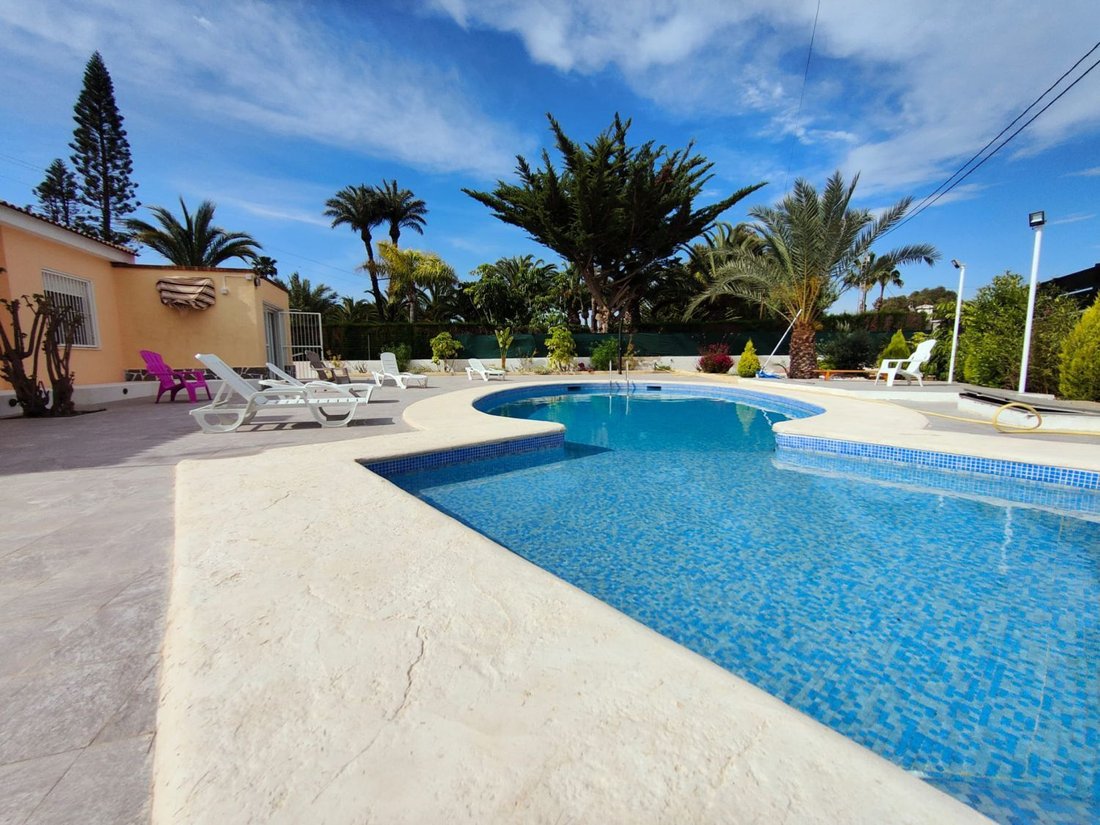 Chalet in Elx / Elche, Valencian Community, Spain 2 - 15665366