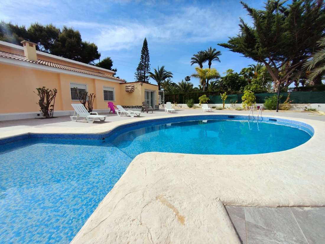 Chalet in Elx / Elche, Valencian Community, Spain 3 - 15665366