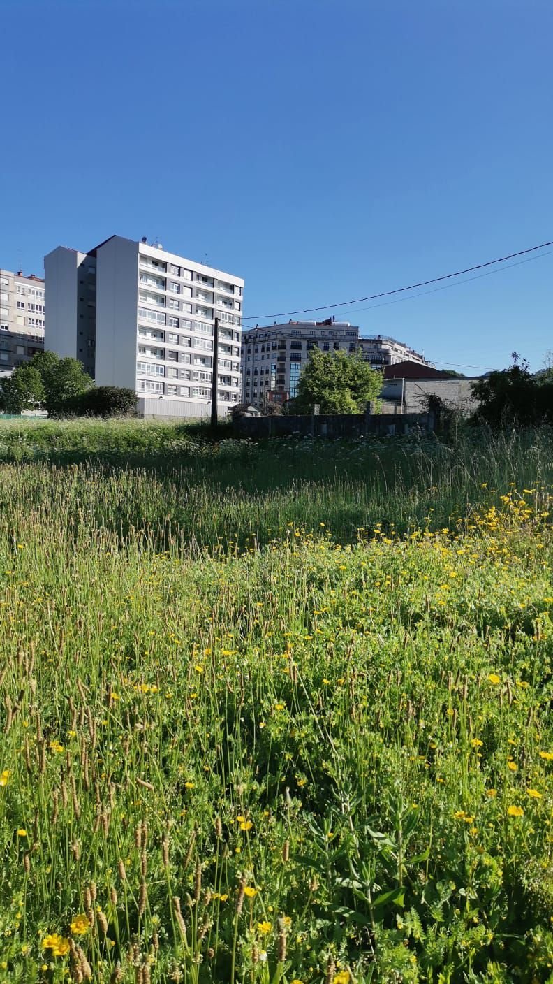 Land in Ponteareas, Galicia, Spain 1 - 15665596