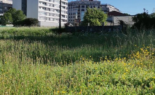 Land in Ponteareas, Galicia, Spain 1