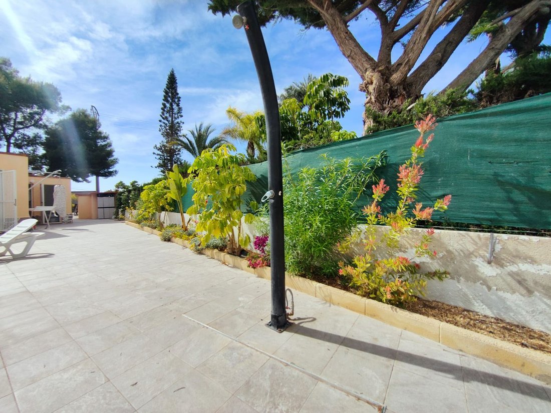 Chalet in Elx / Elche, Valencian Community, Spain 4 - 15665366