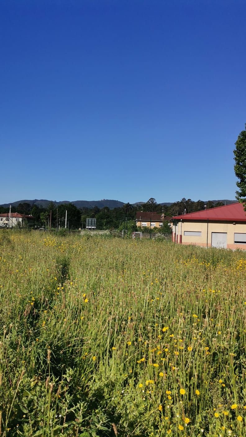 Land in Ponteareas, Galicia, Spain 4 - 15665596