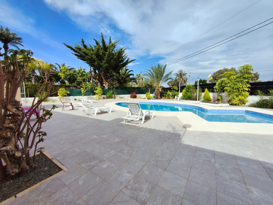 Chalet in Elx / Elche, Valencian Community, Spain 1 - 15665366