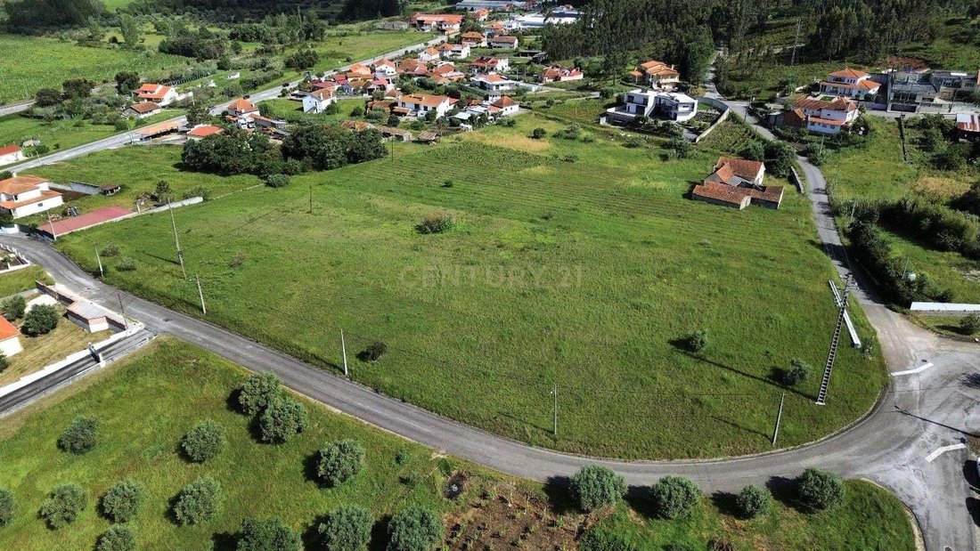 Land in Cantanhede e Pocarica, Coimbra District, Portugal 3 - 15331832