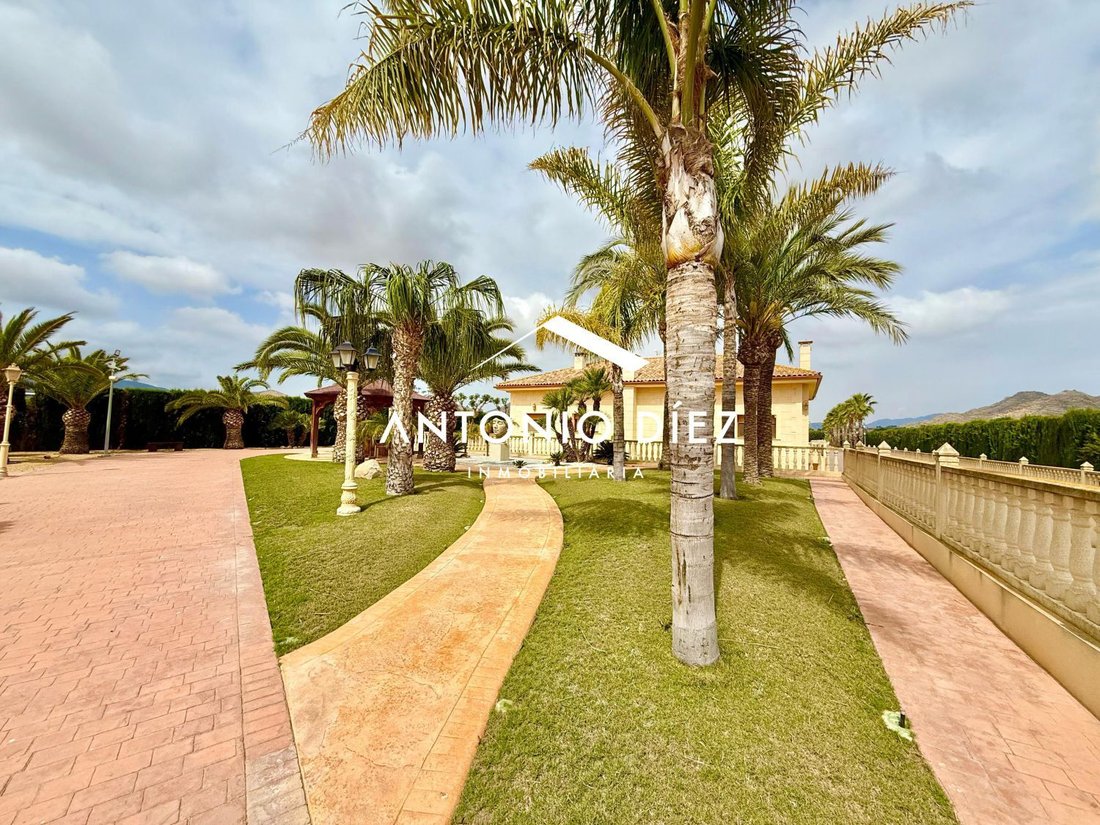 Chalet in Aspe, Valencian Community, Spain 5 - 15665574