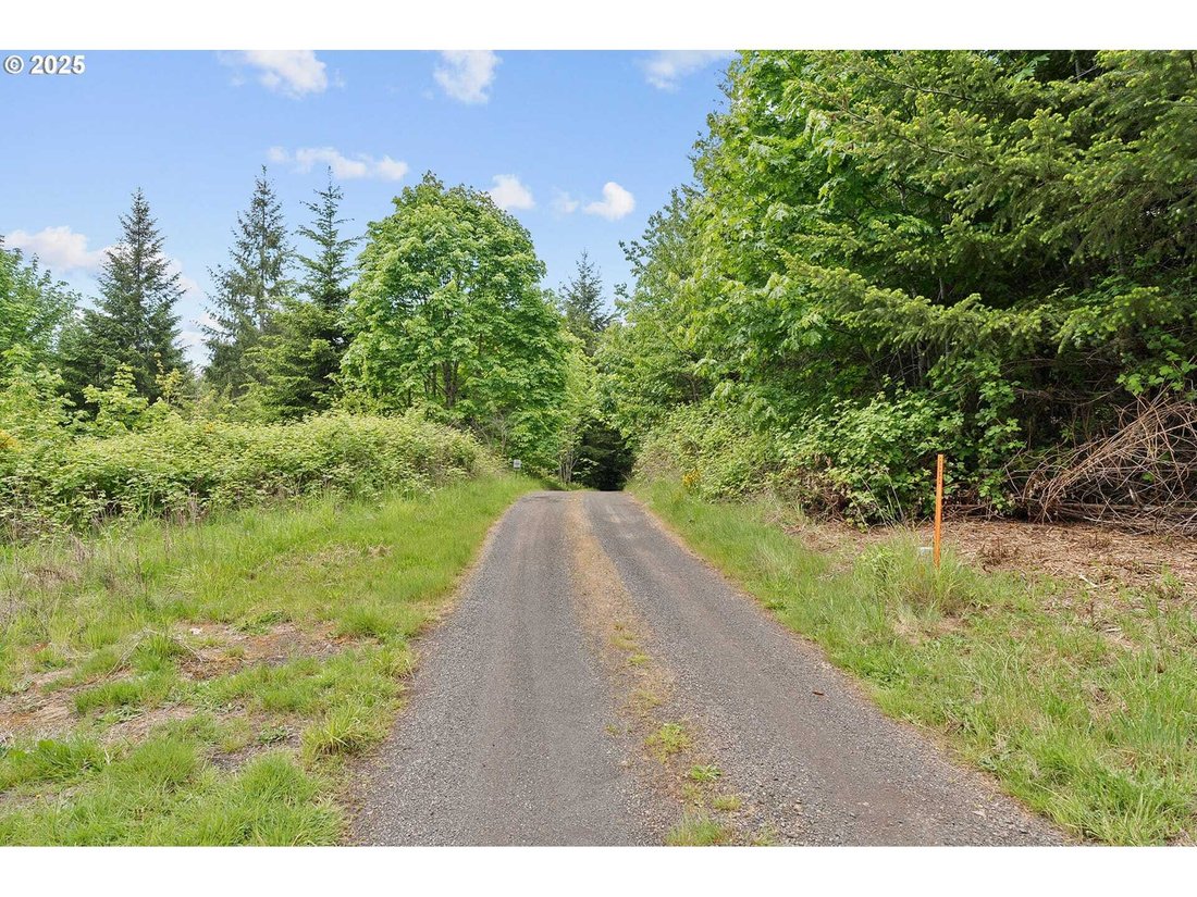 Land in North Plains, Oregon, United States 4 - 14114285