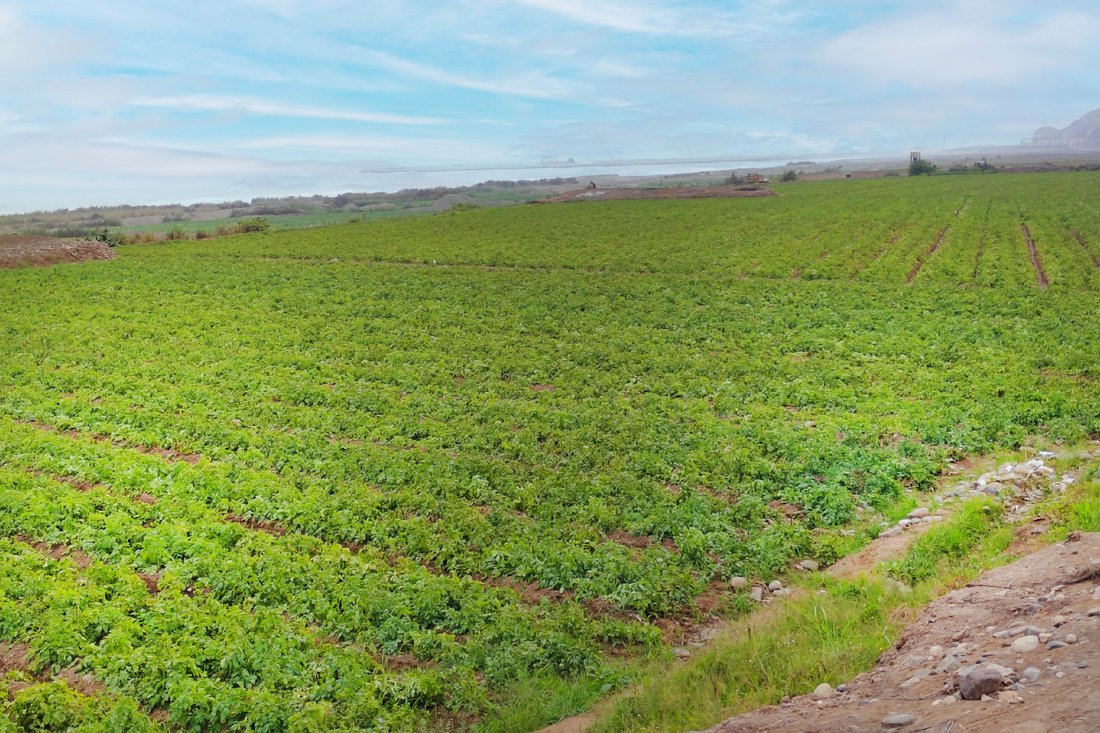 Land in Chancay, Lima Region, Peru 5 - 15668784