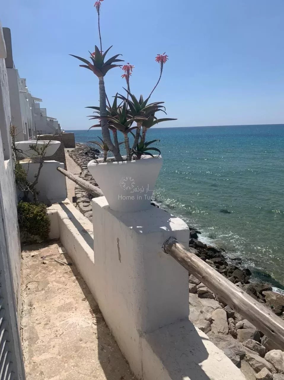 House in Hammamet, Nabeul, Tunisia 5 - 12145123