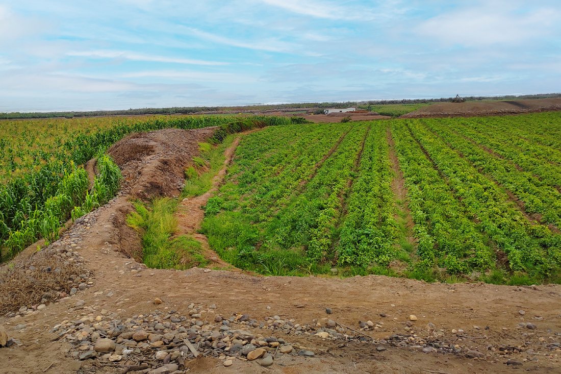 Land in Chancay, Lima Region, Peru 1 - 15668784