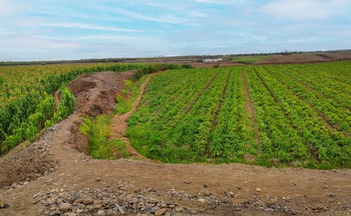 Terrain à Chancay, Région de Lima, Pérou 1