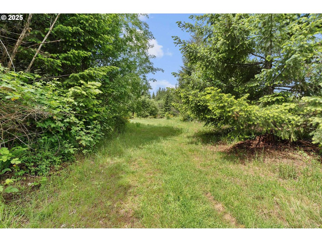 Land in North Plains, Oregon, United States 5 - 14114285