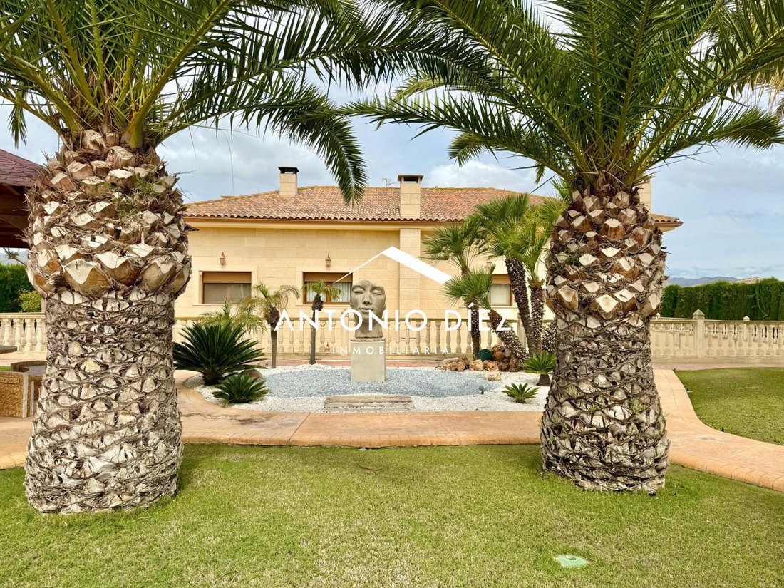 Chalet in Aspe, Valencian Community, Spain 3 - 15665574