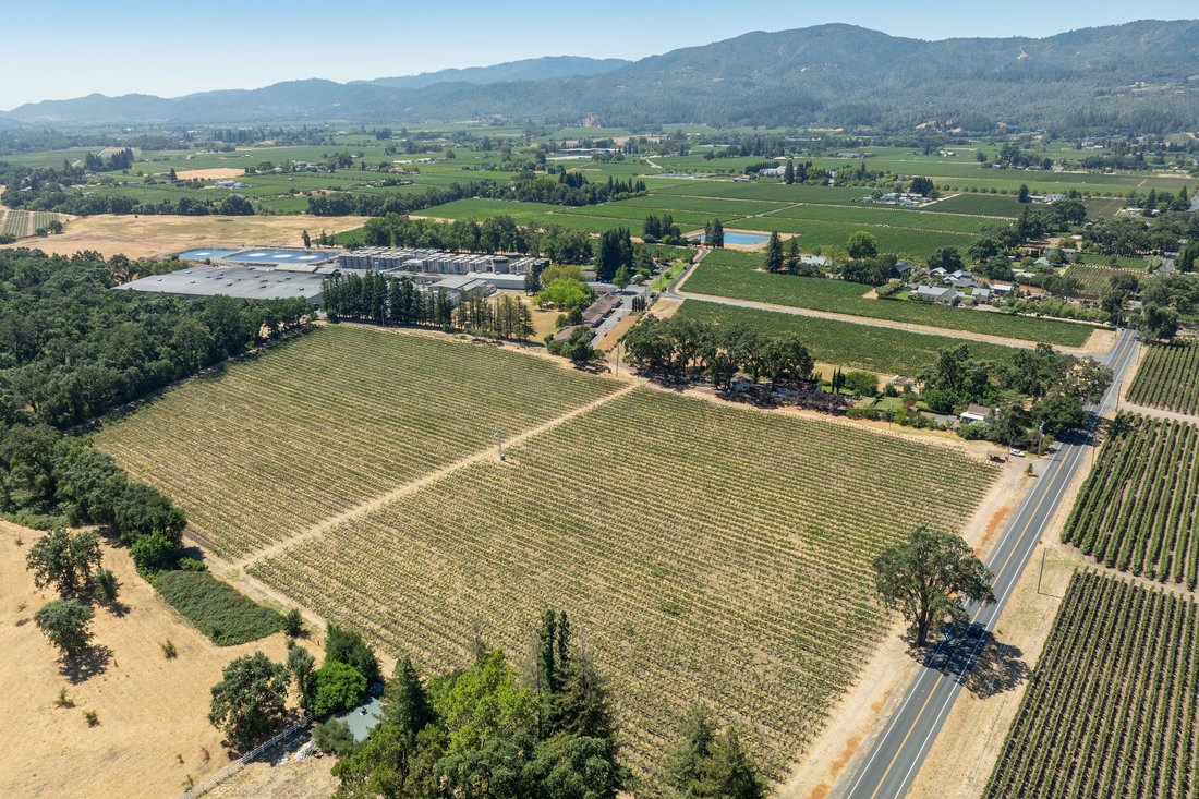 St. Helena, California, United States 3 - 15668768