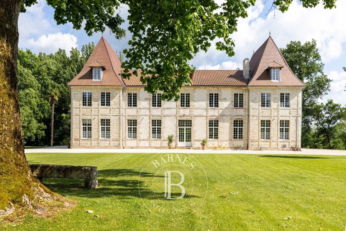 Castle in Saint Vincent, Dax, France 3 - 15254878