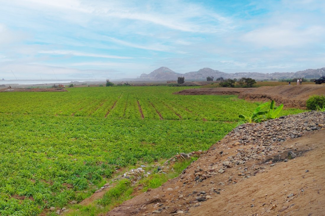 Land in Chancay, Lima Region, Peru 4 - 15668784