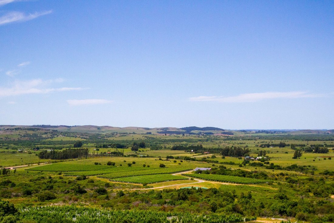 Farm Ranch in Punta del Este, Maldonado Department, Uruguay 1 - 15669280
