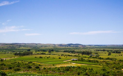 Farm Ranch in Punta del Este, Maldonado Department, Uruguay 1