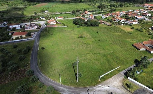 Terreno a Cantanhede e Pocarica, Distretto di Coimbra, Portogallo 1