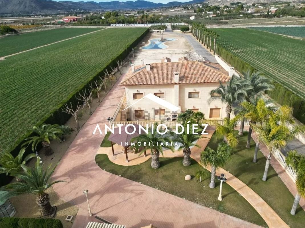Chalet in Aspe, Valencian Community, Spain 1 - 15665574