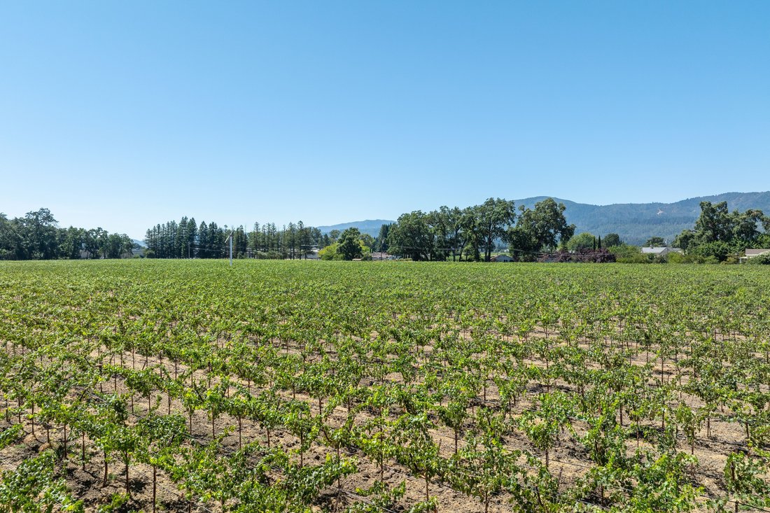 St. Helena, California, United States 2 - 15668768