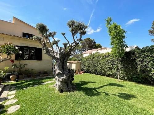 Villa in Genoa, Palma, Balearic Islands 4 - 15665608