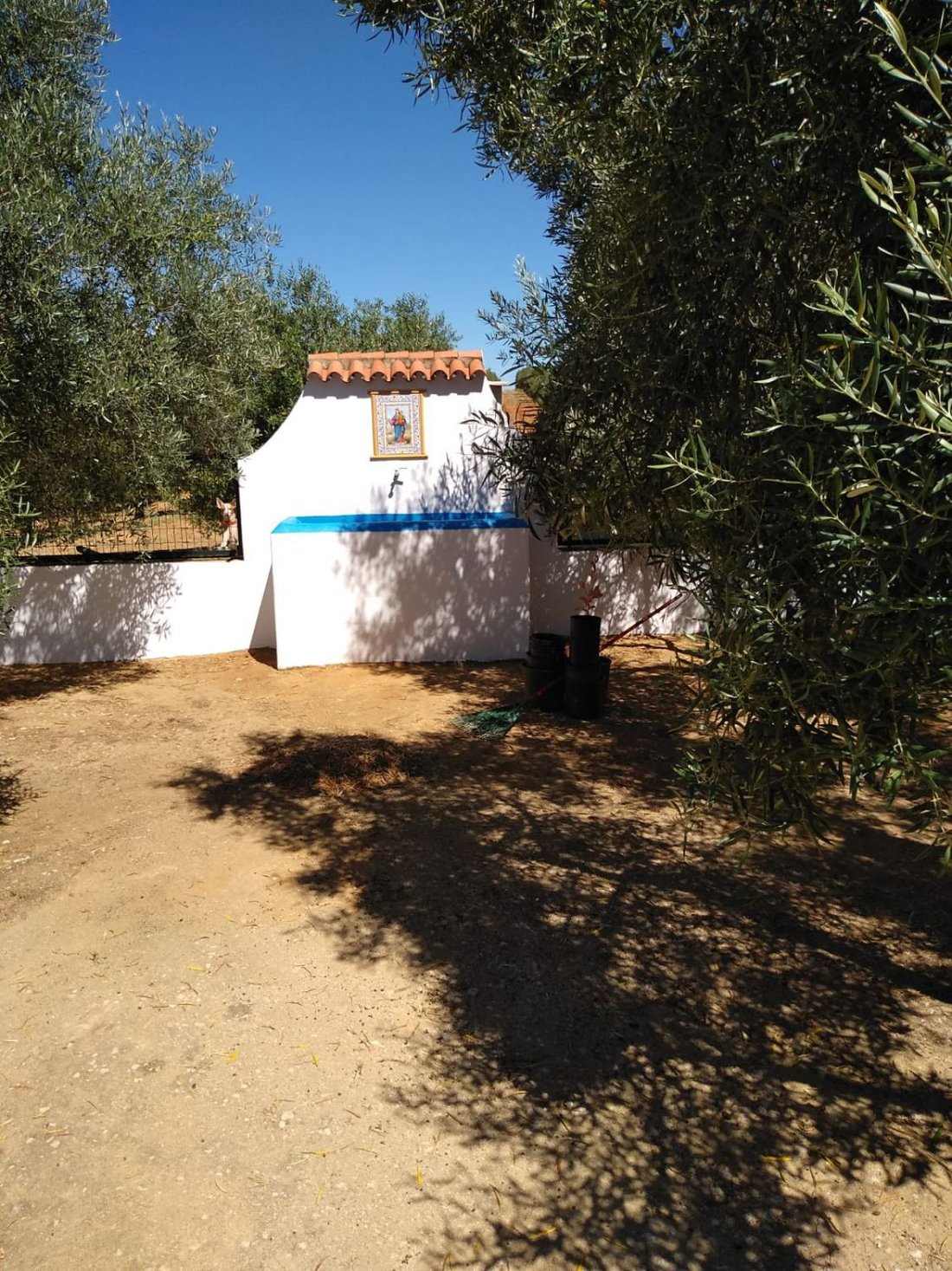 Farm Ranch in Arcos de la Frontera, Andalusia, Spain 5 - 14810725