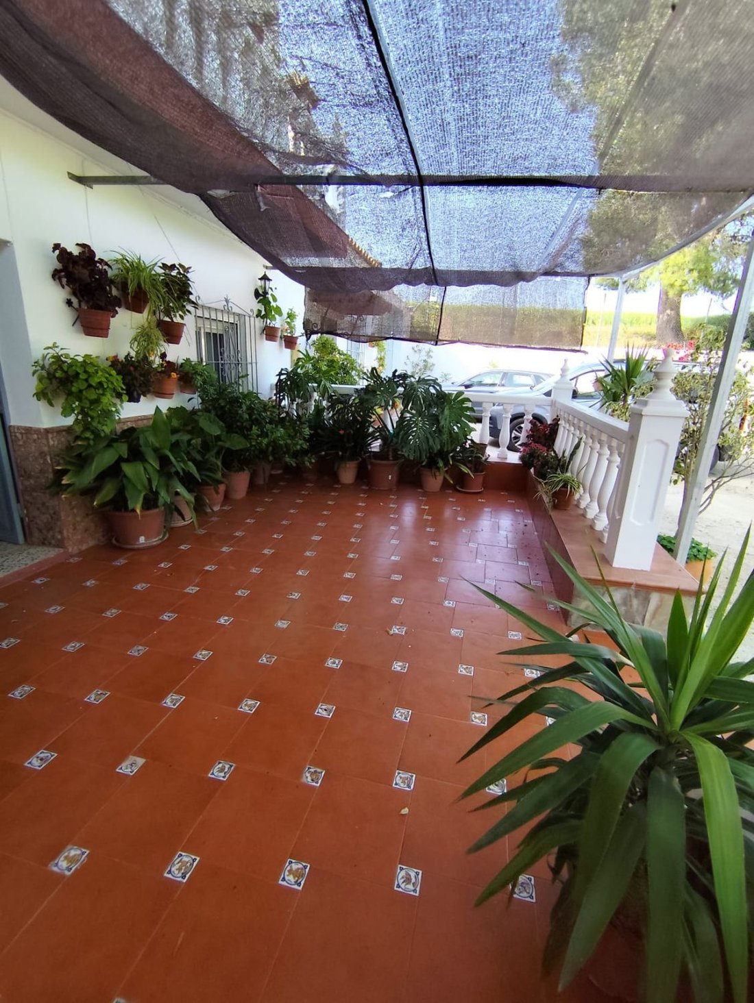 Farm Ranch in Arcos de la Frontera, Andalusia, Spain 1 - 15665528