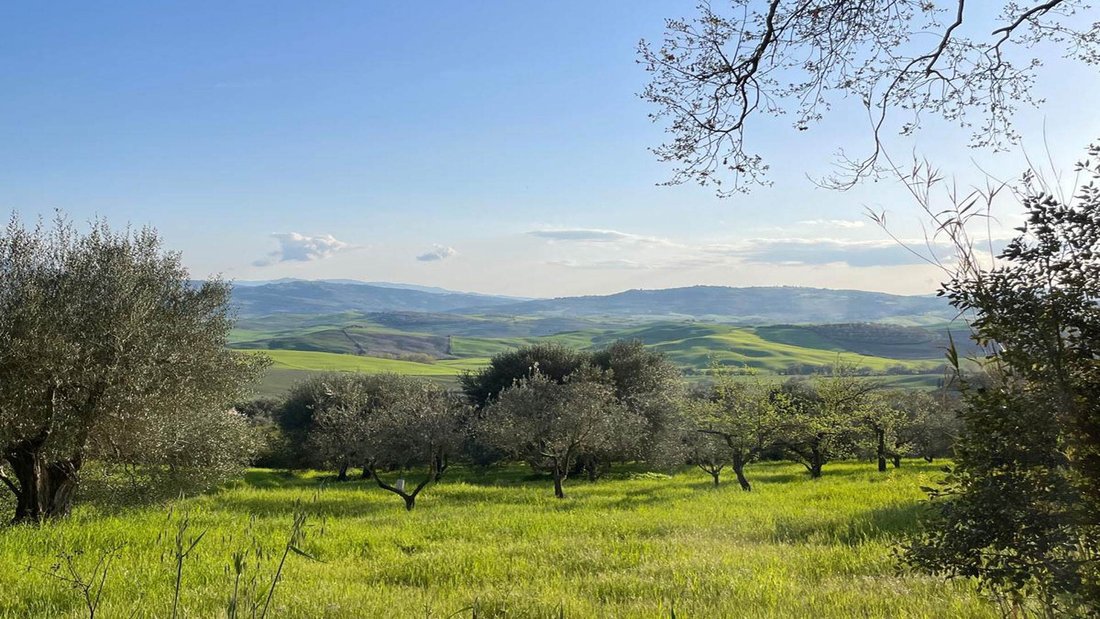 Country House in Pienza, Tuscany, Italy 4 - 15668019