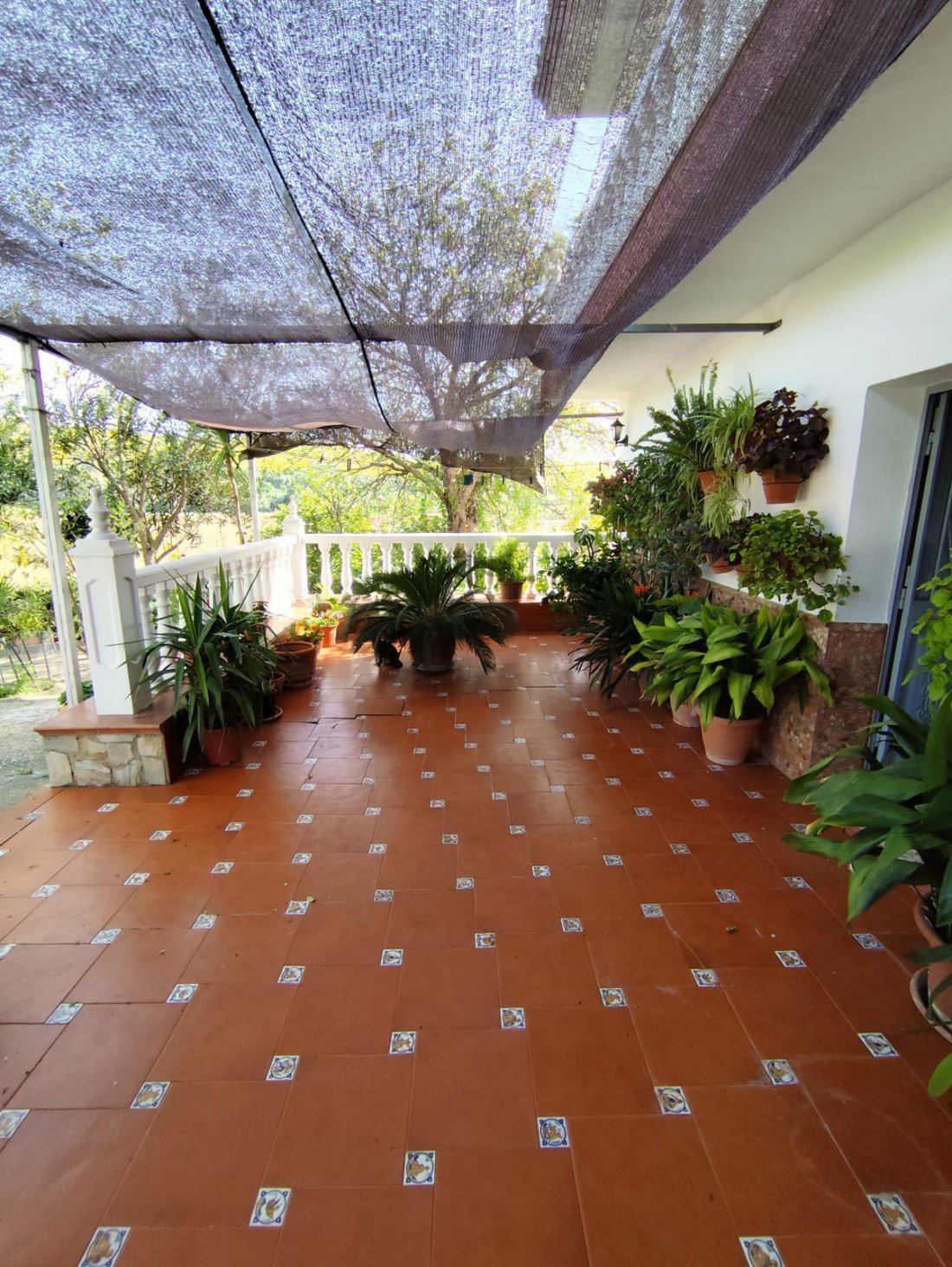Farm Ranch in Arcos de la Frontera, Andalusia, Spain 5 - 15665528