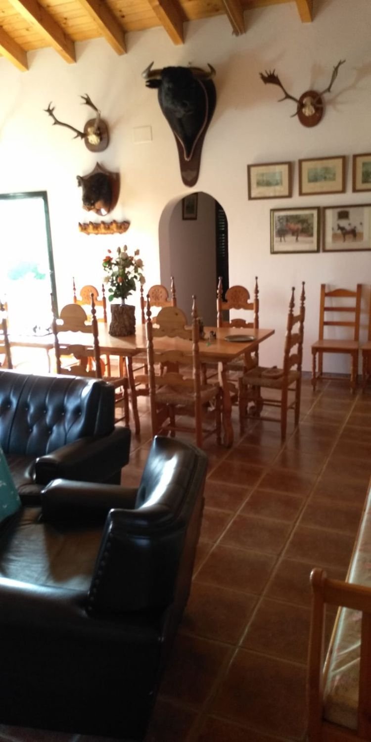 Farm Ranch in Arcos de la Frontera, Andalusia, Spain 1 - 14810725