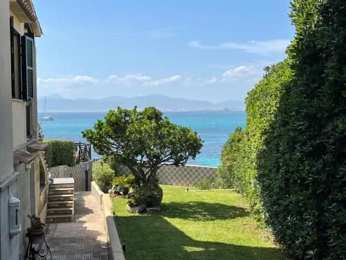 Villa in Genoa, Palma, Balearic Islands 5 - 15665608