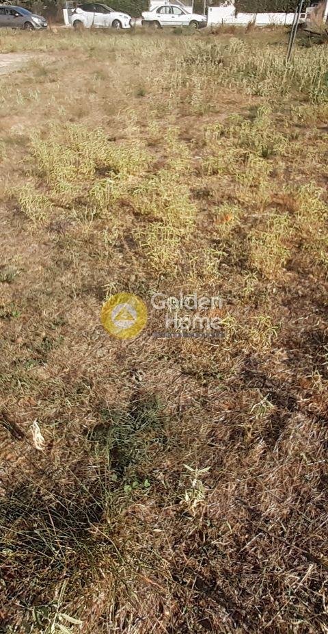 Land in Chalandri, Attica, Greece 5 - 14371119