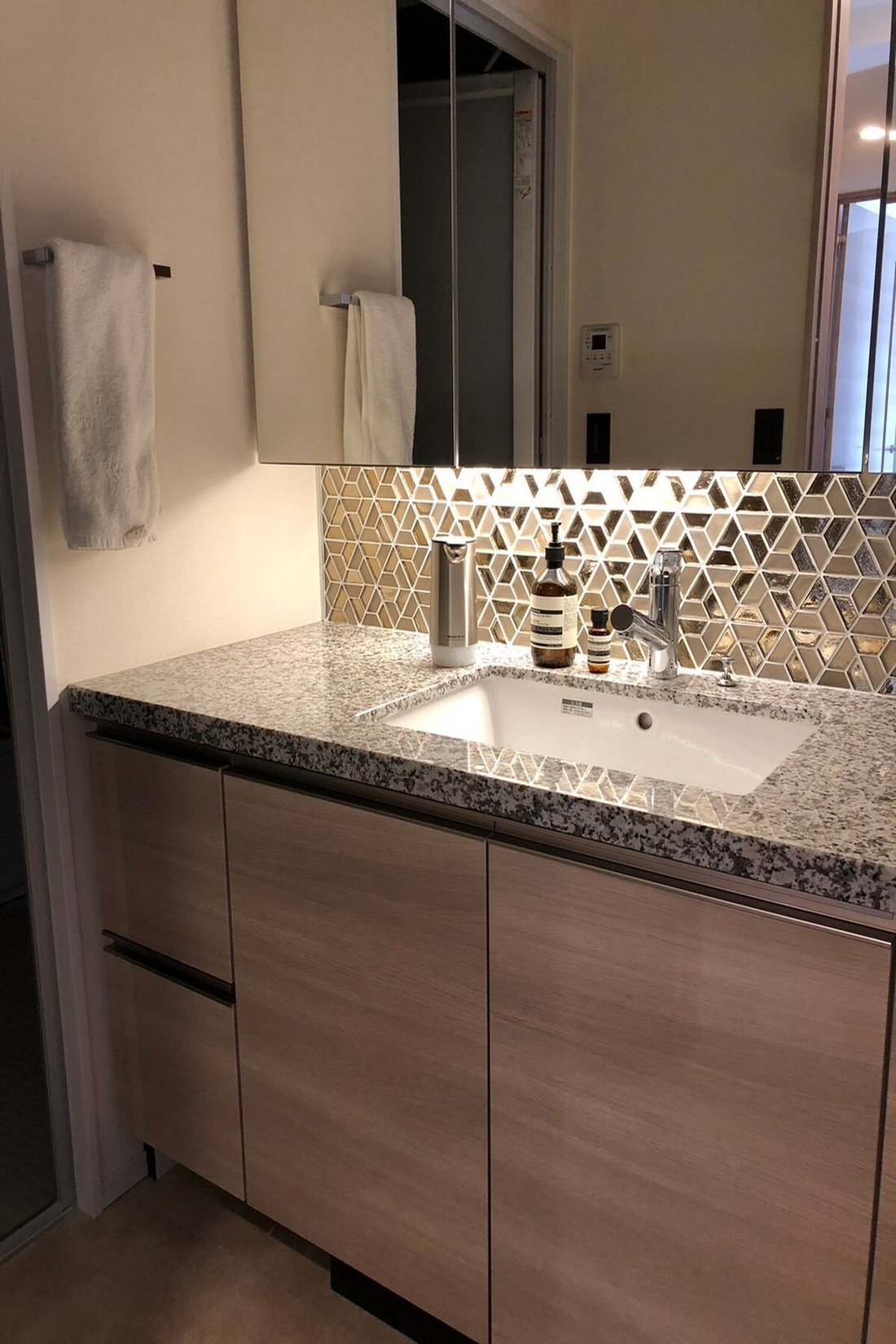 Condo in Koto City, Tokyo, Japan 5 - 15670563