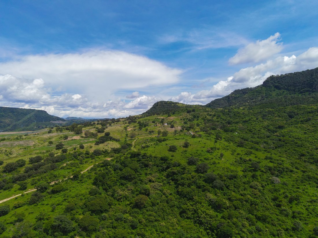 Land in San Antonio, Jalisco, Mexico 1 - 15668732