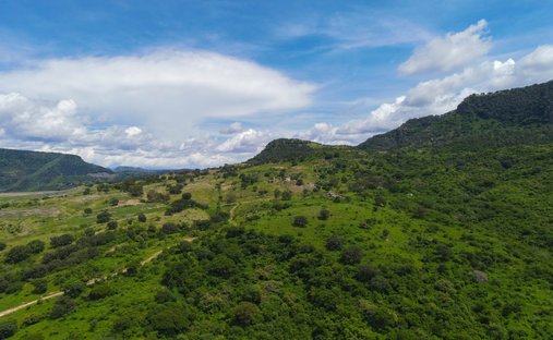 Land in San Antonio, Jalisco, Mexico 1