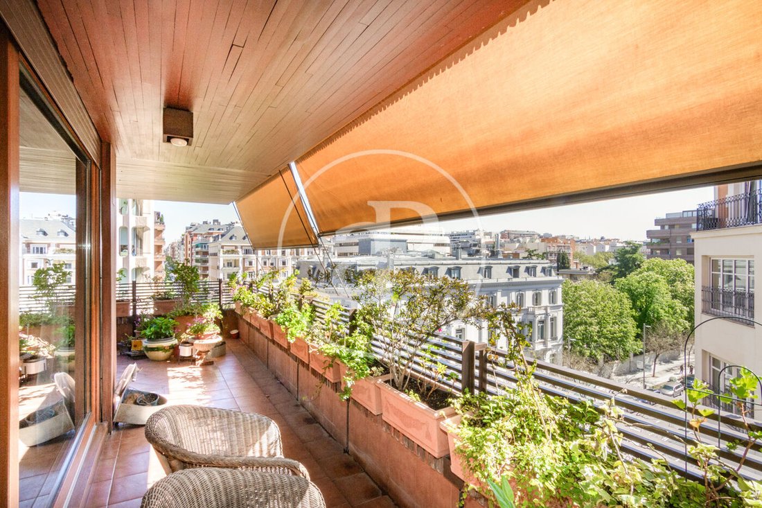 Apartment in Barrio Salamanca, Madrid, Spain 3 - 15670941