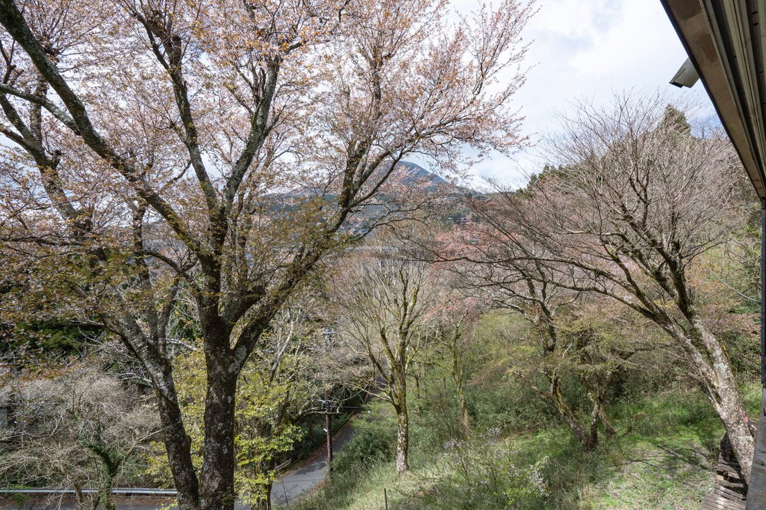 House in Hakone, Kanagawa, Japan 5 - 15670157