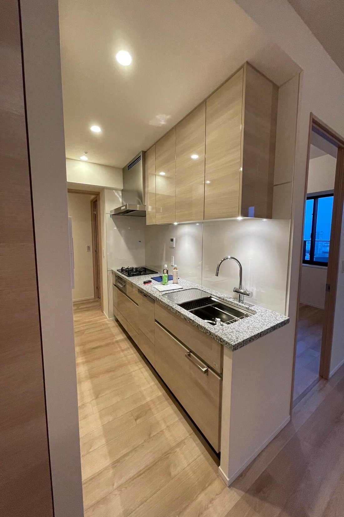 Condo in Koto City, Tokyo, Japan 3 - 15670563