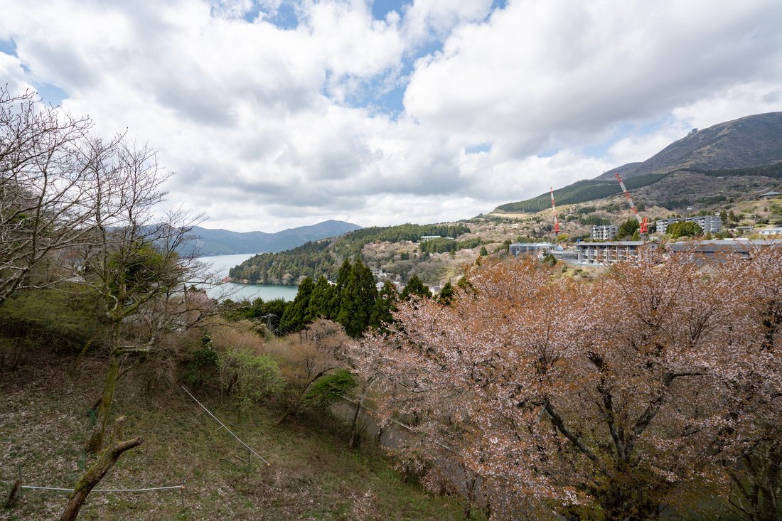 House in Hakone, Kanagawa, Japan 2 - 15670157