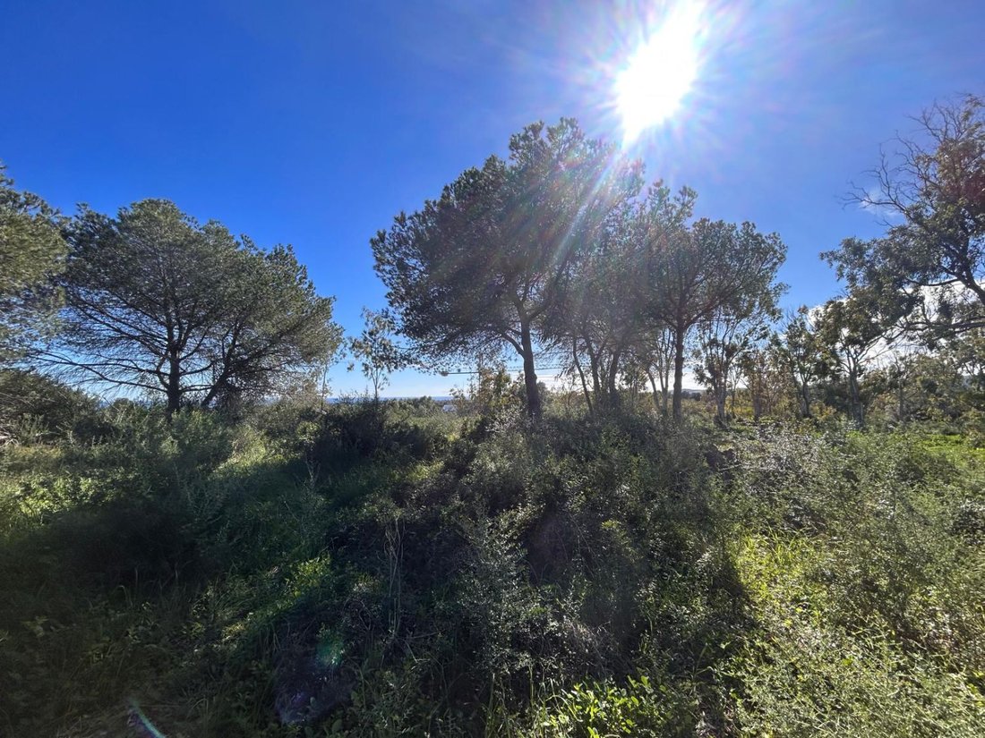 Land in Sotogrande, San Roque, Andalusia 2 - 15665625