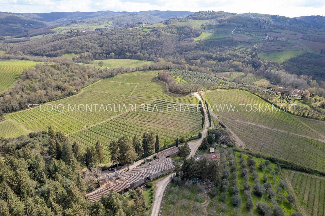 Farm Ranch in Center, Greve in Chianti, Tuscany 3 - 15672410