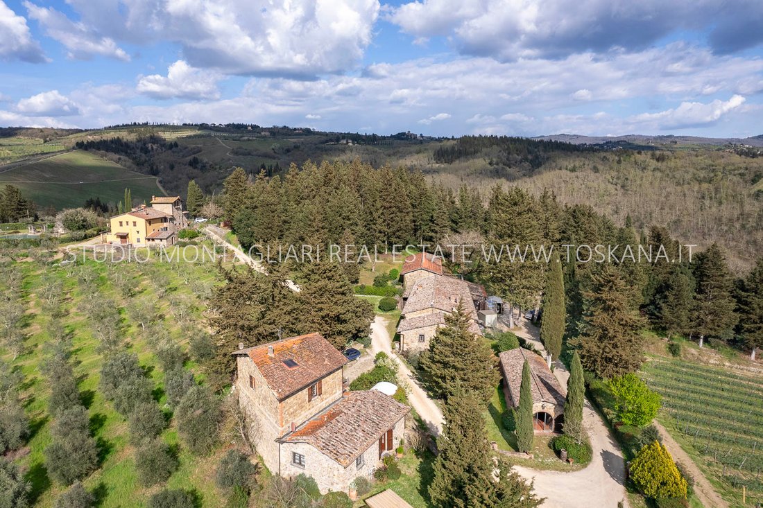 Farm Ranch in Center, Greve in Chianti, Tuscany 4 - 15672410