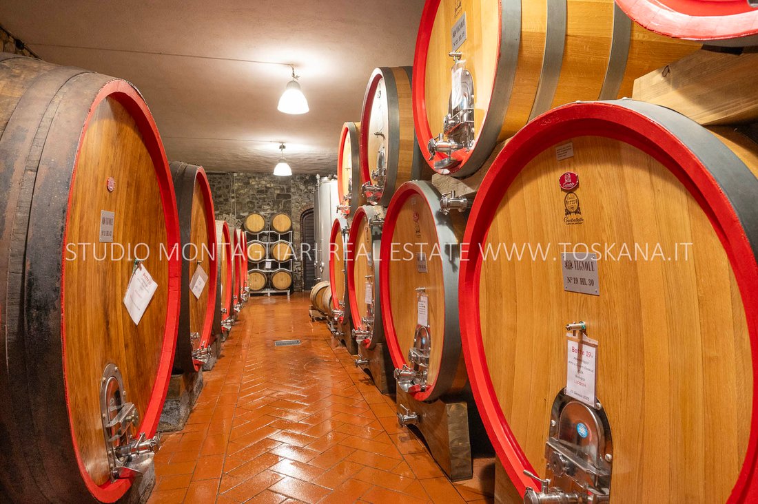 Farm Ranch in Center, Greve in Chianti, Tuscany 1 - 15672410
