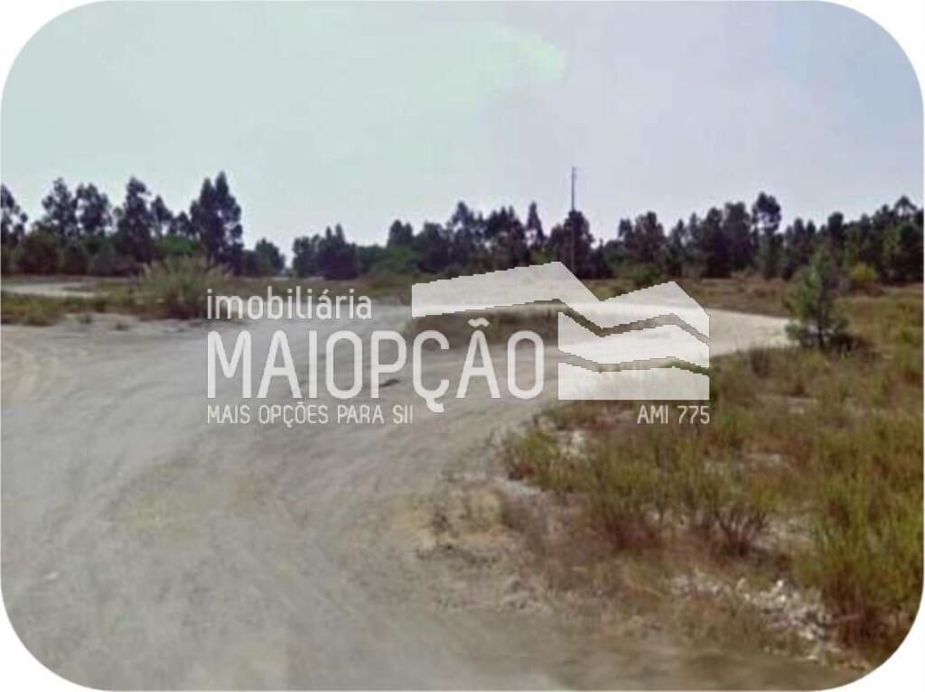 Land in Pegoes, Setubal, Portugal 4 - 12856623