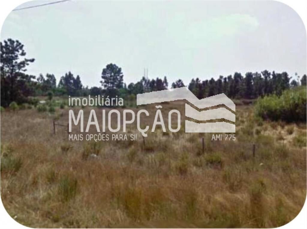 Land in Pegoes, Setubal, Portugal 2 - 12856623
