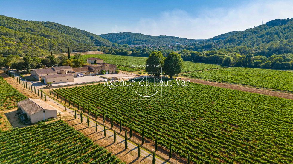 Château des Vignes Dorées: A 70-Hectare Provençal Wine Kingdom