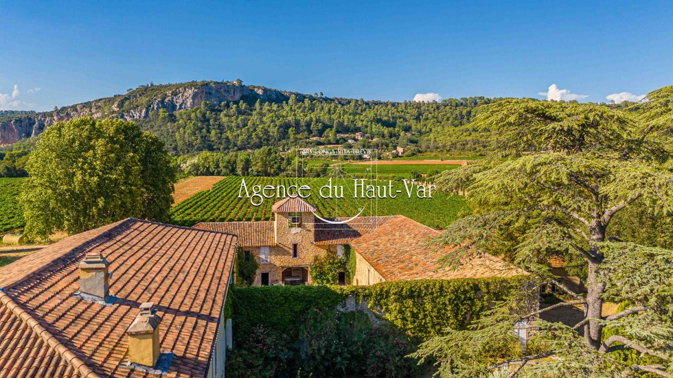 Château des Vignes Dorées: A 70-Hectare Provençal Wine Kingdom