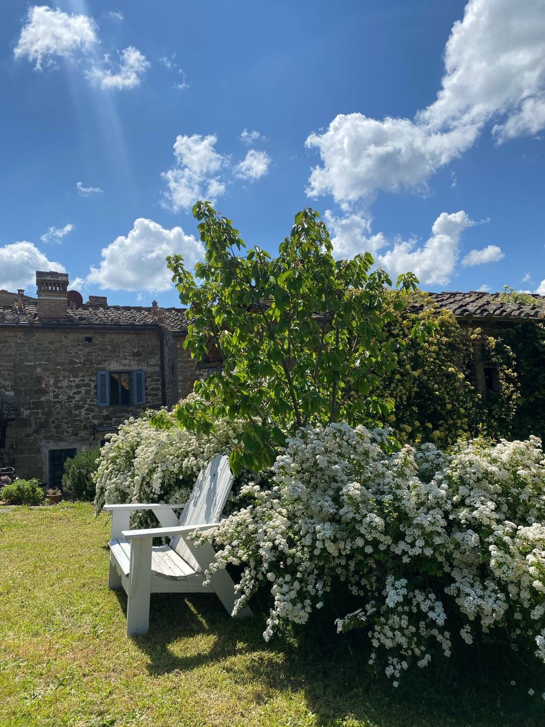 Country House in Center, Greve in Chianti, Tuscany 5 - 15676194