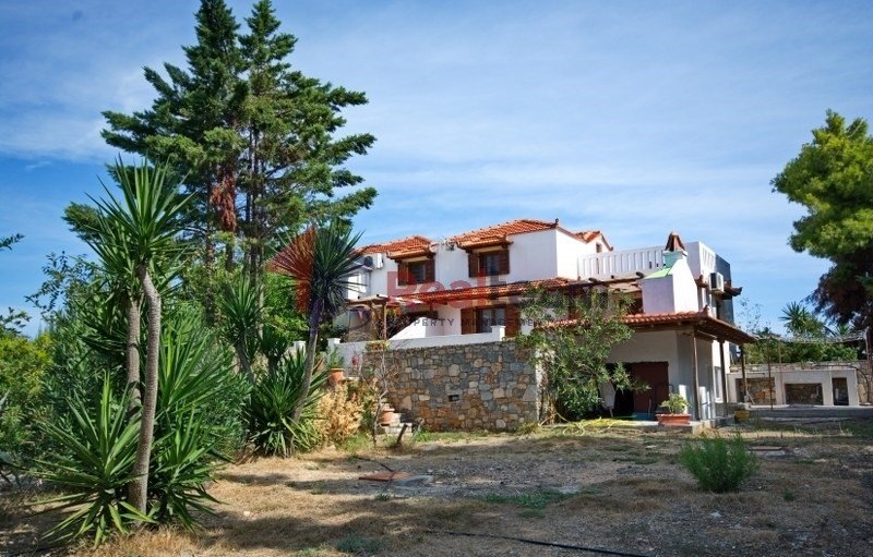 Condo in Alonnisos, Thessaly and Central Greece, Greece 4 - 15673227
