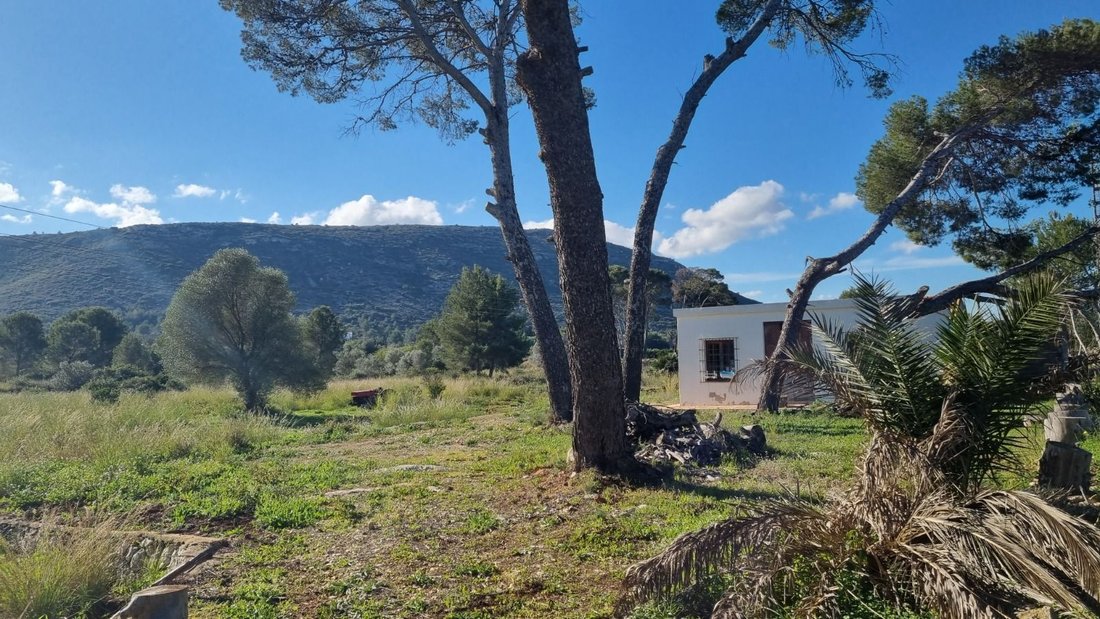 Finca in Denia, Valencian Community, Spain 5 - 15673759